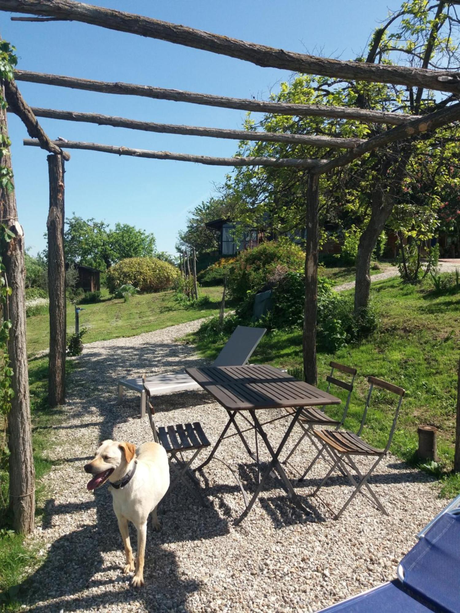 B&B Sant'Anna 21 몬포르테달바 외부 사진
